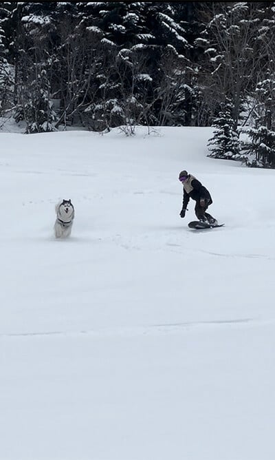 Field Tested - 2024 Bataleon Thunderstorm Snowboard Review | evo